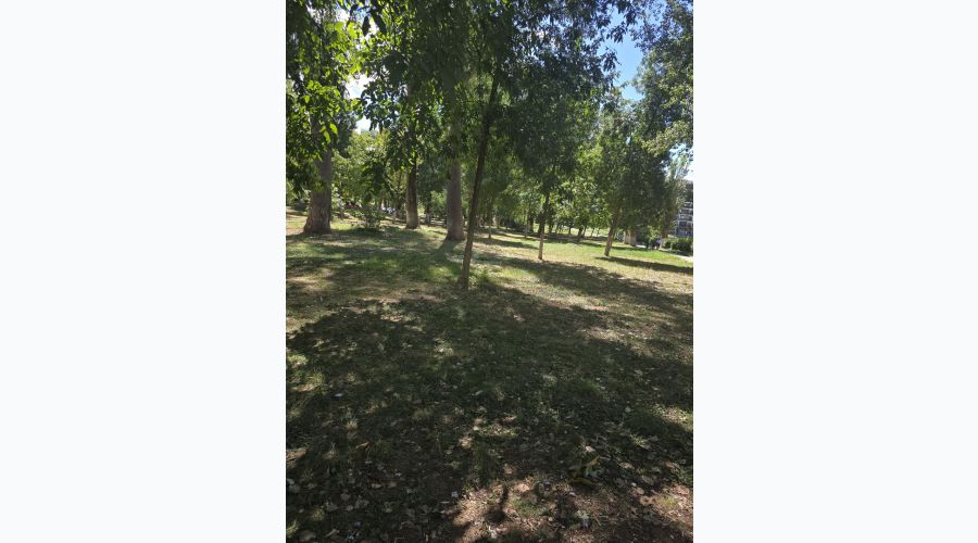  Az Bulutlu ve Güneşli