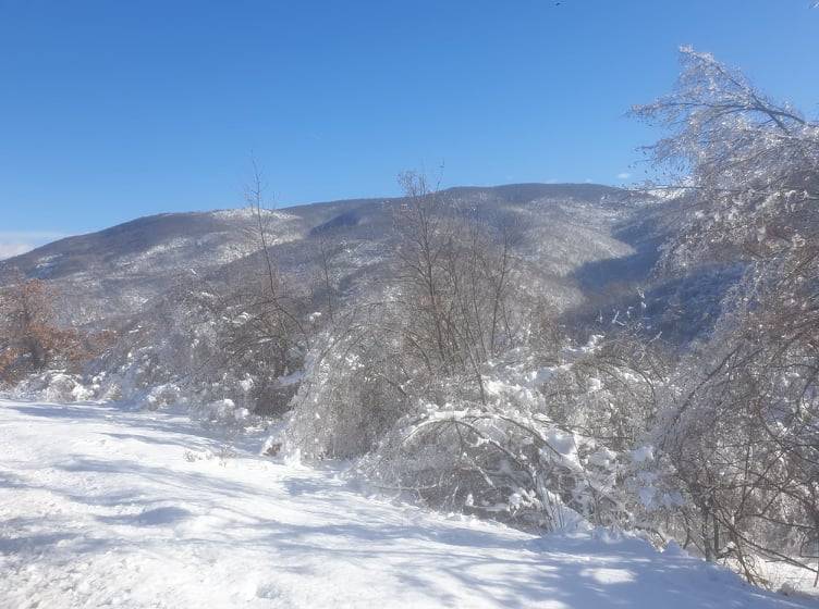 Hava Güneşli