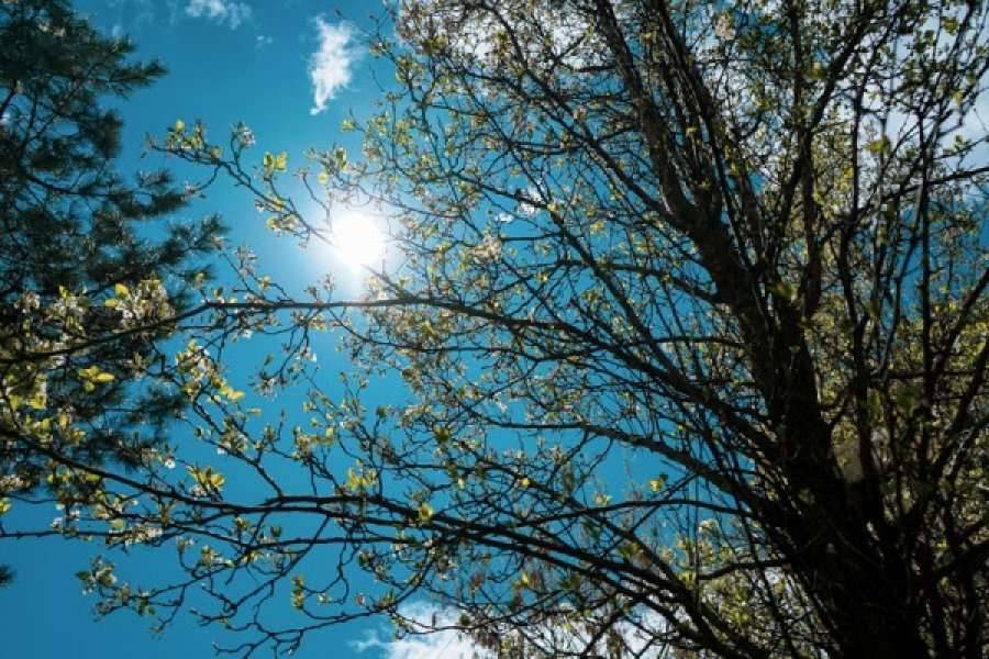 Sıcaklık Bugün 38 Dereceye Kadar Çıkabilir