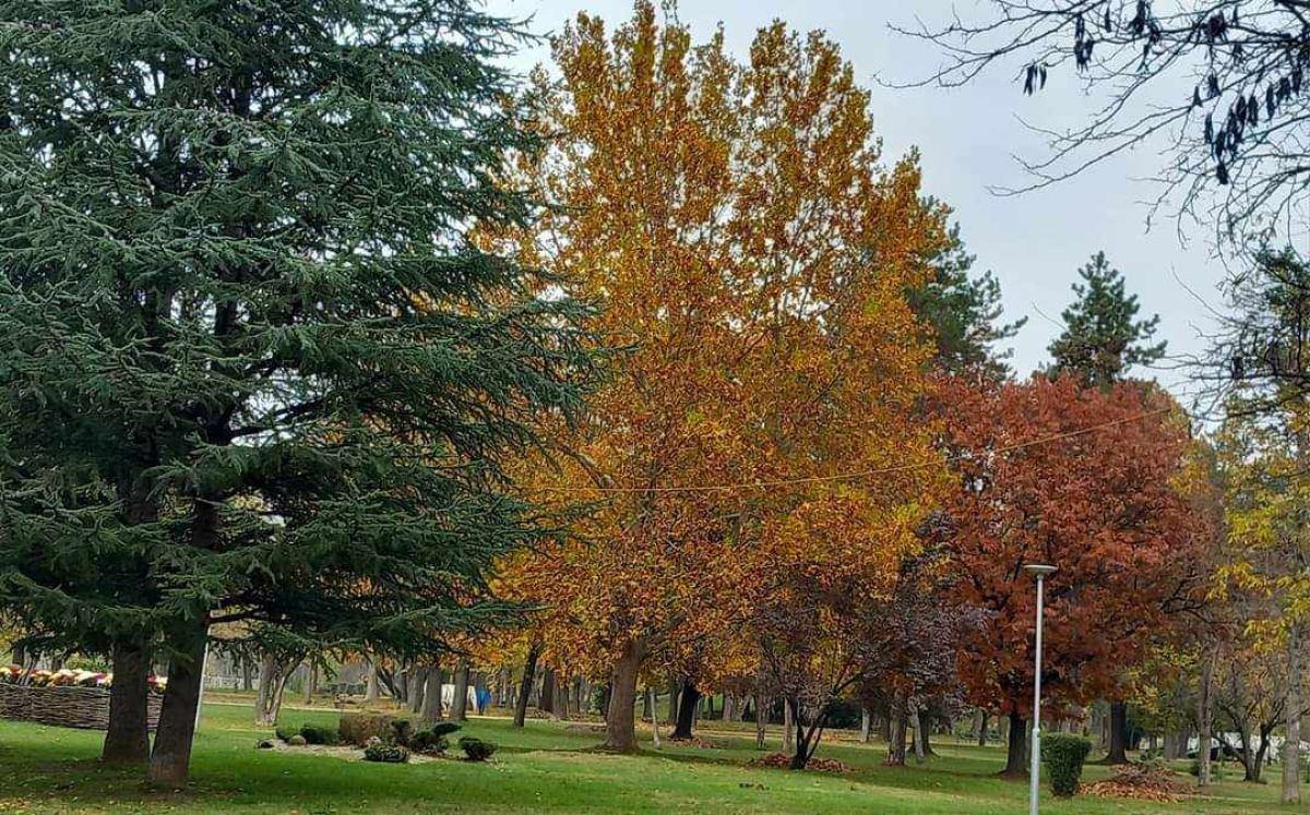 Parçalı Bulutlu ve Güneşli Aralıklarla Seyreden Hava