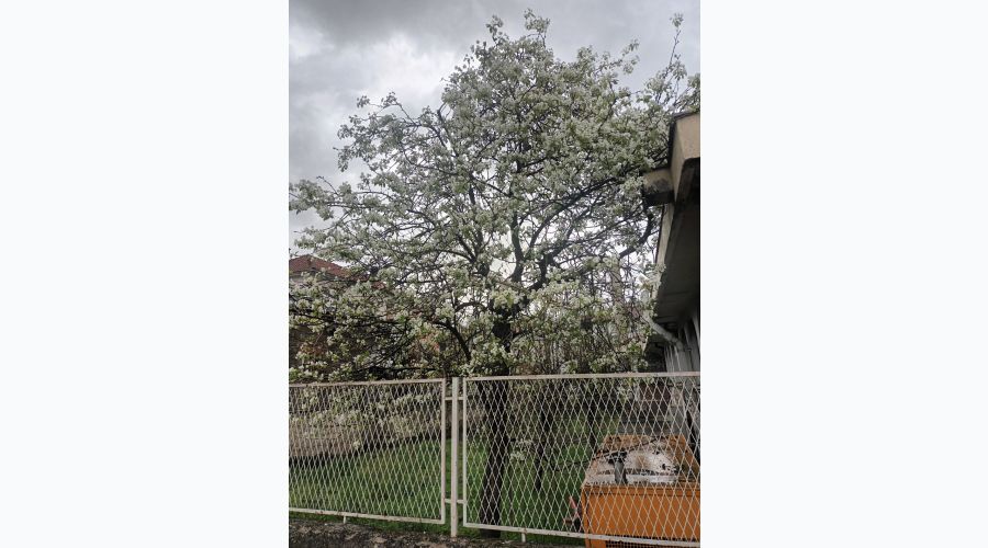 Bugün Hava Parçalı Bulutlu