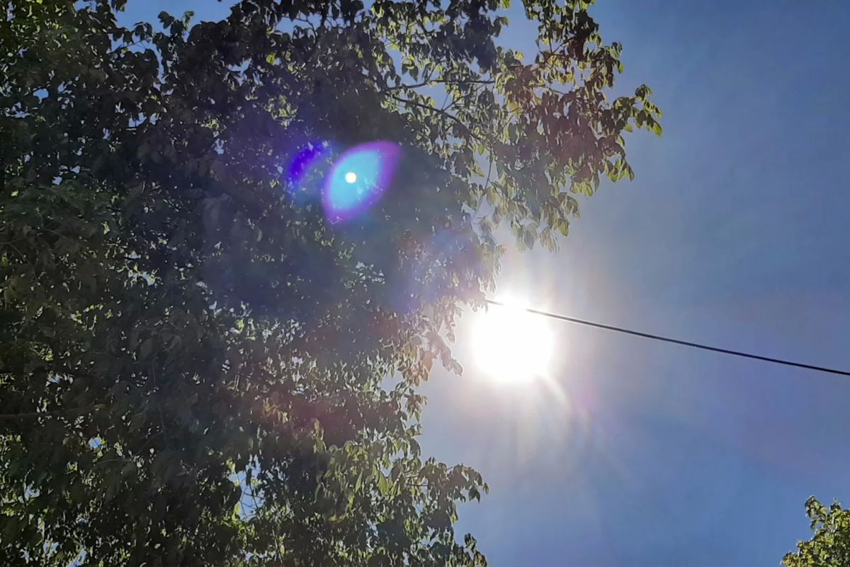Hafta Yağışla Başlayacak, 38°C'ye Varan Sıcaklıklarla Sona Erecek