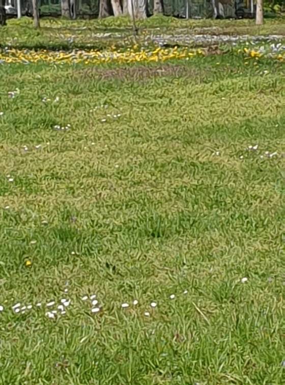 Kosova'da Bugün Hava Parçalı Bulutlu ve Güneşli
