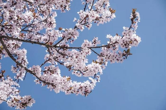 Hava Parçalı Bulutlu, Sıcaklıkta Hafif Artış