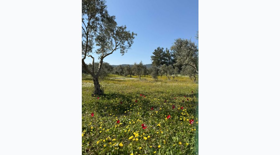Parçalı Bulutlu ve Güneşli