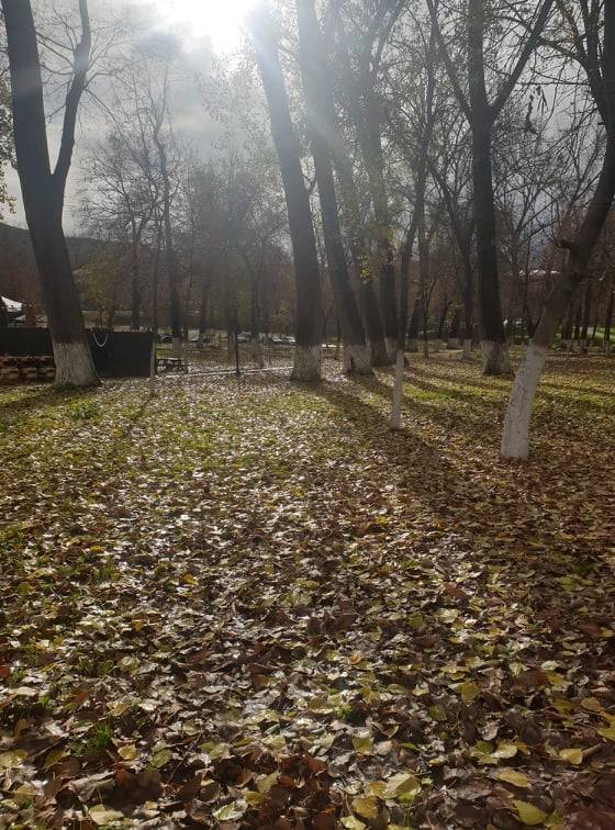Sıcaklıklar Bu Hafta 14 Dereceye Kadar Ulaşabilecek