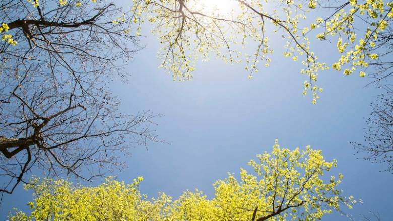 Hava Parçalı Bulutlu, Öğleden Sonra Yağmur İhtimali