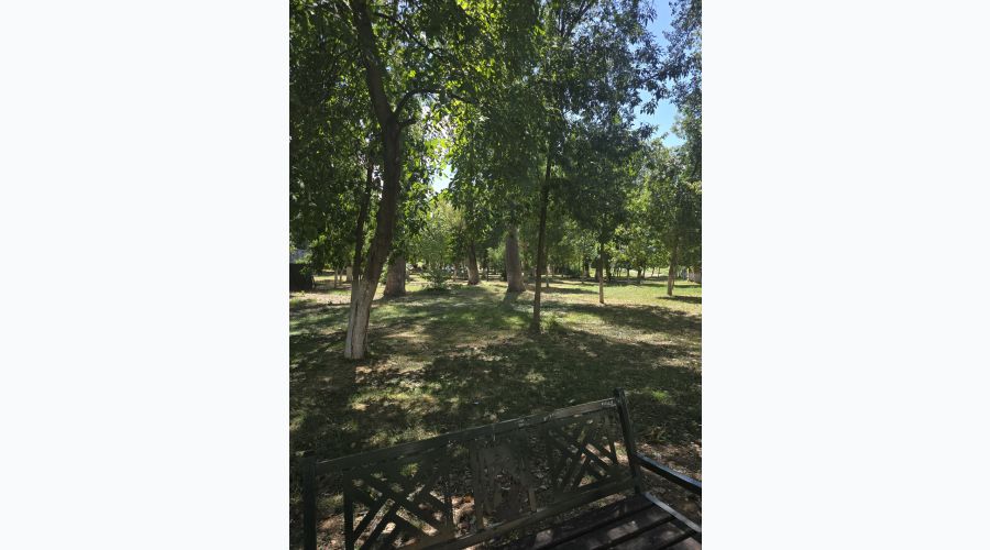 Sabah Güneşli, Öğleden Sonra Yağmur Bekleniyor