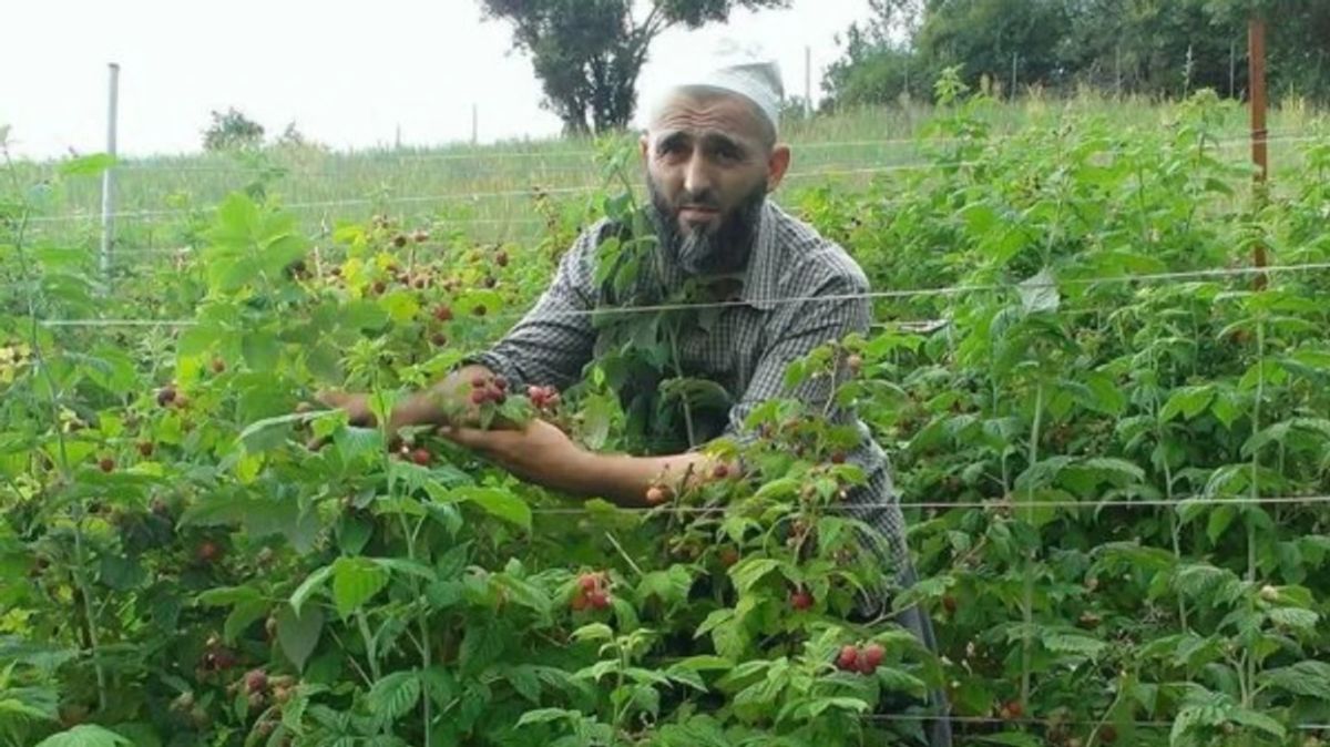Dragaş'ta Bıçaklı Kavganın Kurbanı Bir İmam, Katil Zanlısı da Yakalandı