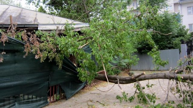 Priştine ve Ferizovik'te Öğlen Sularında Şiddetli Rüzgar
