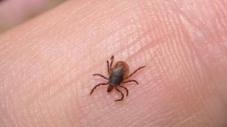 Altı Yıl Sonra, Malişeva’da Kanamalı Ateşten İlk Ölüm