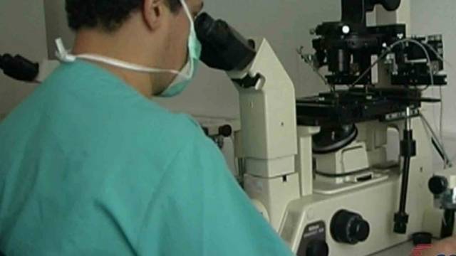 Yoksulluk Kosovalıları Sperm Hücrelerini de Satmaya Zorluyor