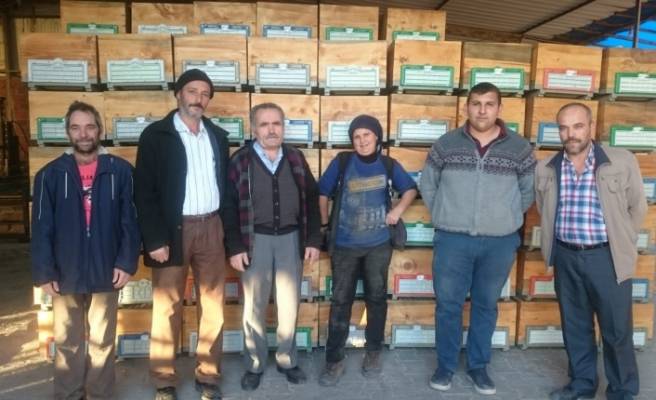 Kosova’ya Kovan İhracatı