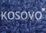Kosova Bölgesel Konferanslarda Sadece Dipnot İle Temsil Edilecek
