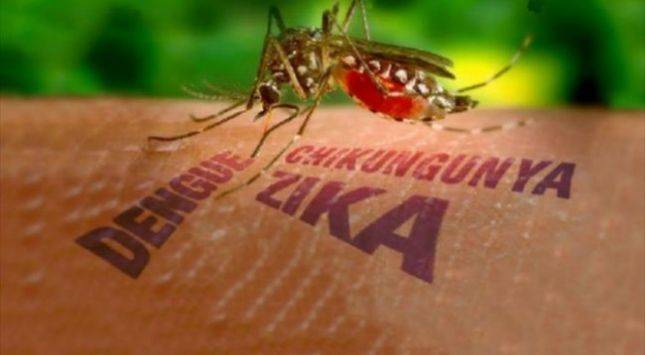 "Zika" Salgını Ülkemize Tehlike Arz Etmiyor