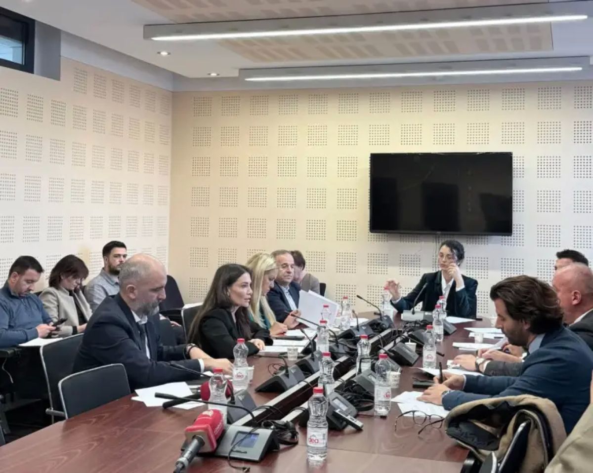 Dışişleri Komisyonu’nda PDK, Lahey Meselesi İçin Kurumsal Strateji Talep Ediyor