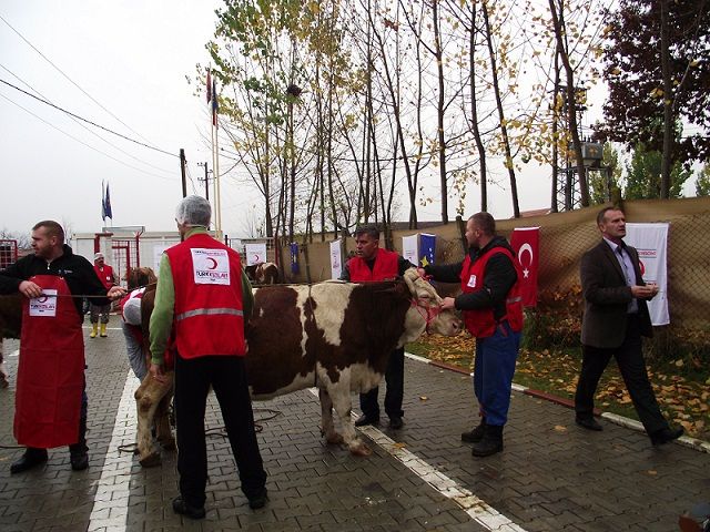 Türk Kızılayı'ndan Kosova'ya 30 Kurban