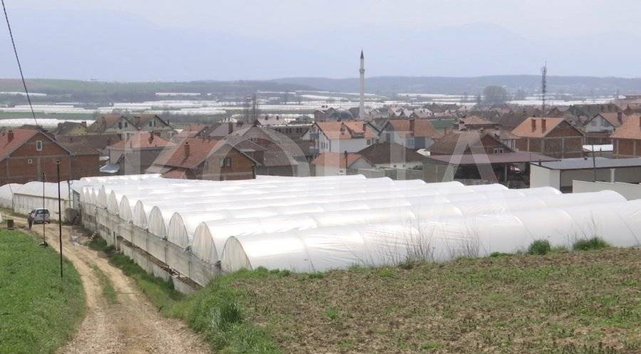Tedbirler Mamuşalı Tarımcıları Zor Duruma Düşürdü