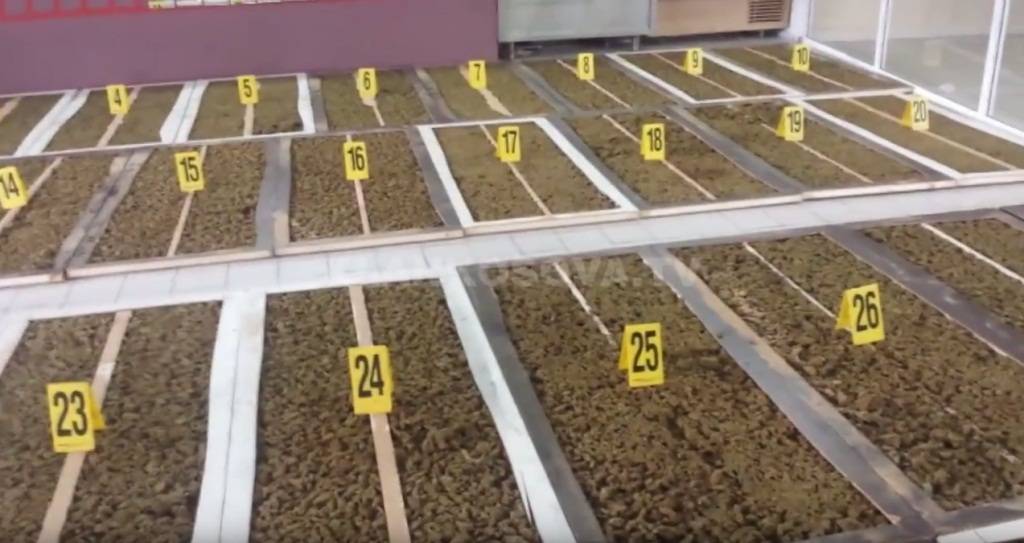 Polis 135 Kg Marihuana Ele Geçirdi