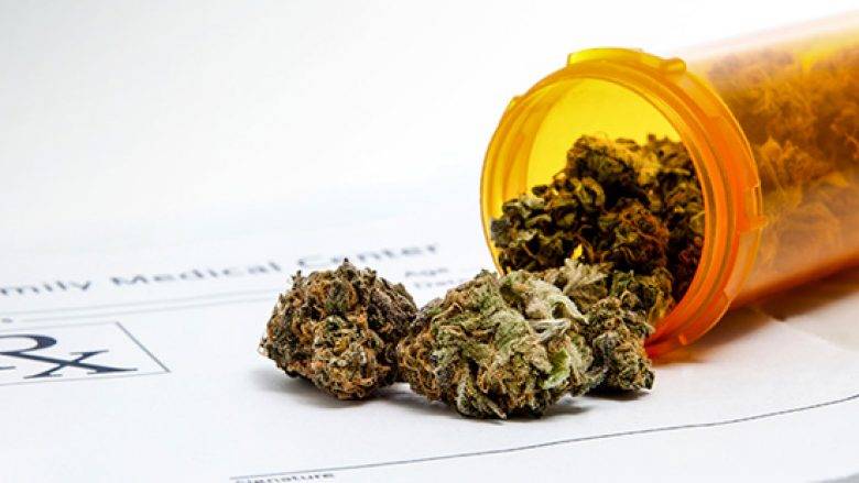 Kosova'da Marihuana Kullanımı Artışta