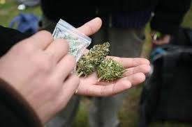 Kosova Polisi 1 KG Marihuana Ele Geçirdi