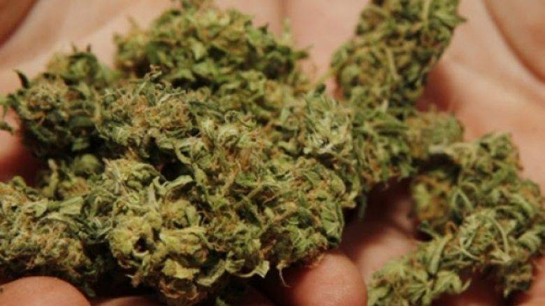 Skenderaj’da 3 Kilogramdan Fazla Esrar Ele Geçirildi
