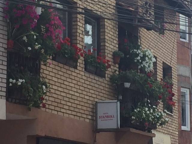 Prizren Aynı Zamanda Çiçekler Şehridir