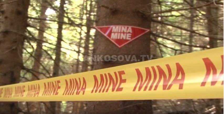 Kosova'da 36 Patlayıcı Madde İmha Edildi
