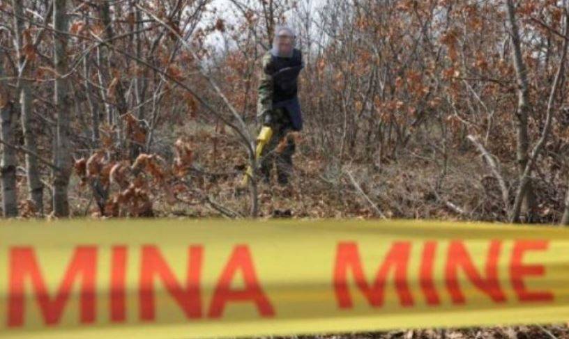 Yakova’da Bir Ormanda 70 Adet Mayın Bulundu