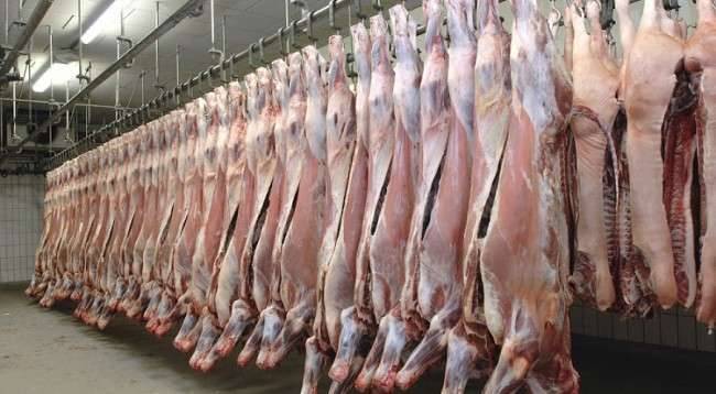 Bu Yıl 80 Bin Kilo Et İmha Edildi