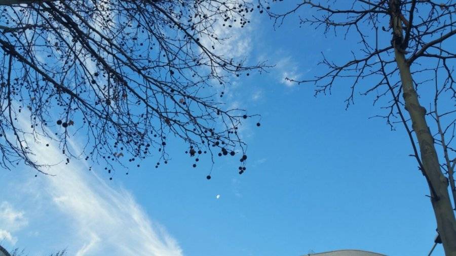 Önümüzdeki Günlerde Hava Durumu