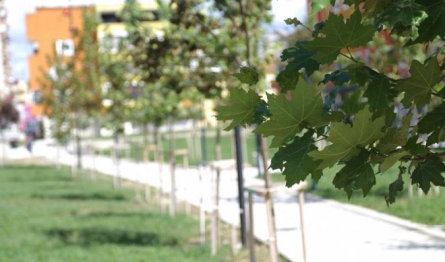 Hava Bugün Parçalı Bulutlu