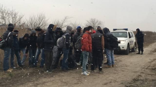 Macar Polisi 1233 Kosovalıyı Tutukladı