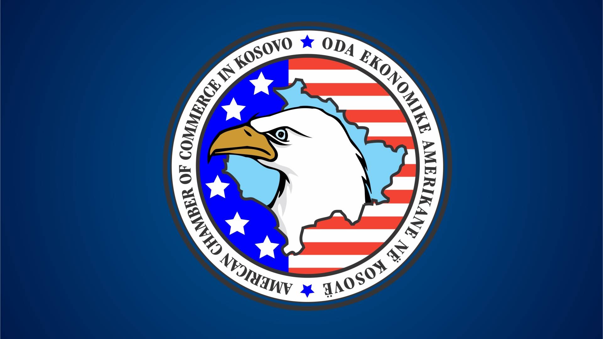 Amerikan Ticaret Odası Sağlık Sigortası Yasasının Uygulanmamasını İstiyor