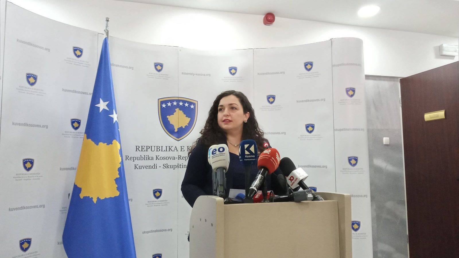 Meclis Başkanı Osmani Vize Serbestisinden Konuştu
