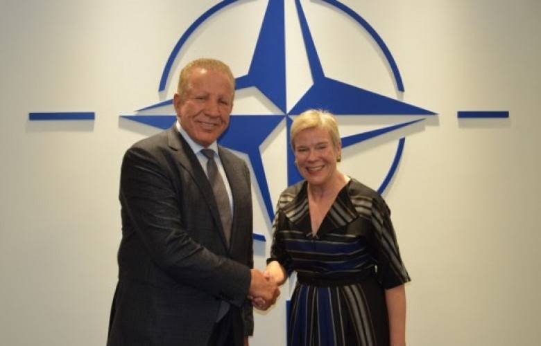 KGG'nin Silahlı Kuvvetlere Dönüşmesi  NATO ile İşbirliğinde Olmalı