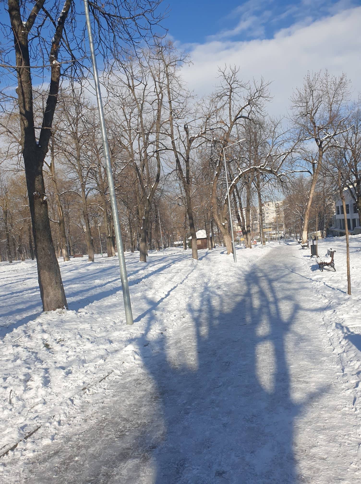 Bulutlu ve Güneşli