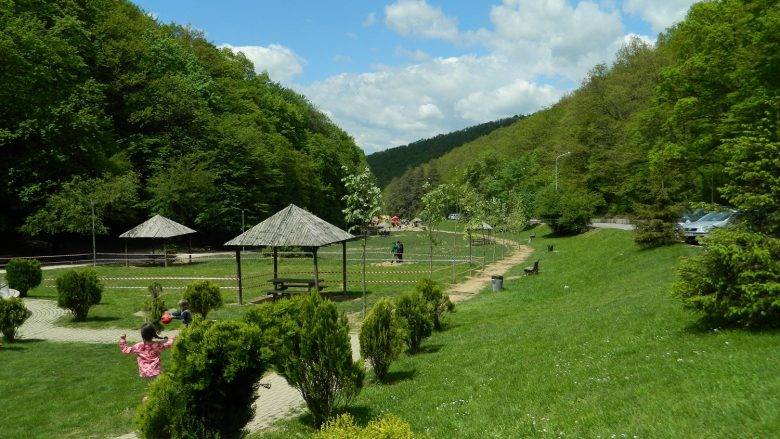 Avrupa’da En Zehirli Yılan Gırmi Parkında Görüldü