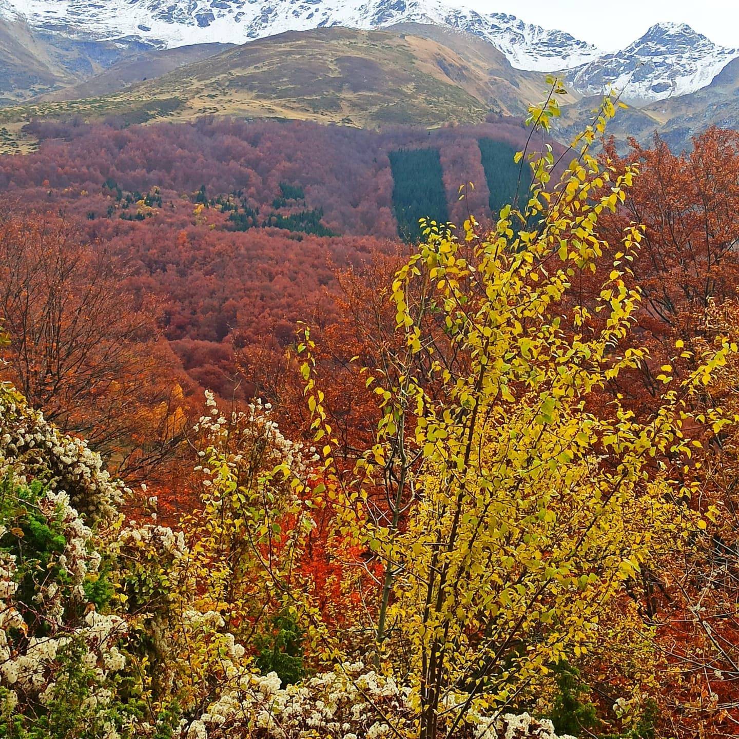 Hava Bugün Açık,  Parçalı Bulutlu