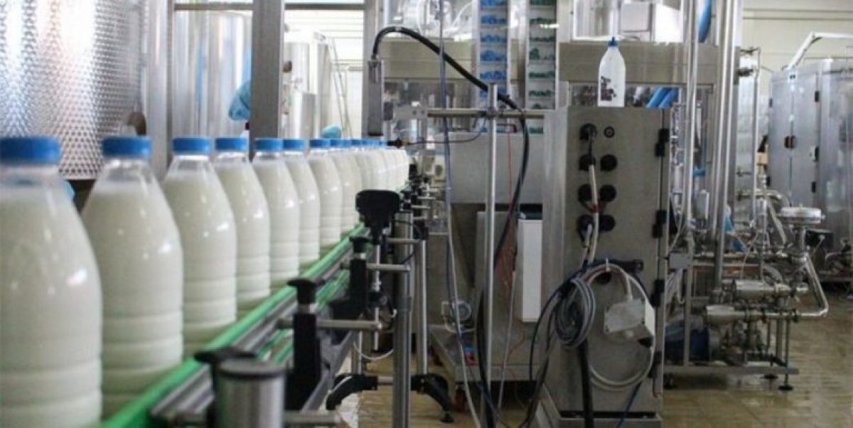 Süt Toplama Devam Ediyor: Süt Üreticileri Bakanlık ve AUV ile Müzakereleri Sürdürüyor