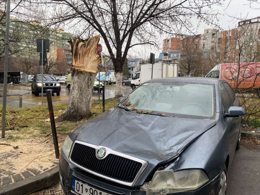 Şiddetli Rüzgar Nedeniyle Ağaç Devrildi, Bazı Araçlar Hasar Gördü