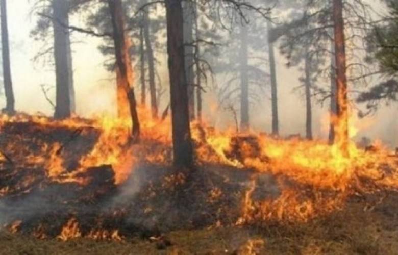 Rugova Dağı’nda Çıkan Yangınla İlgili Polisten Açıklama