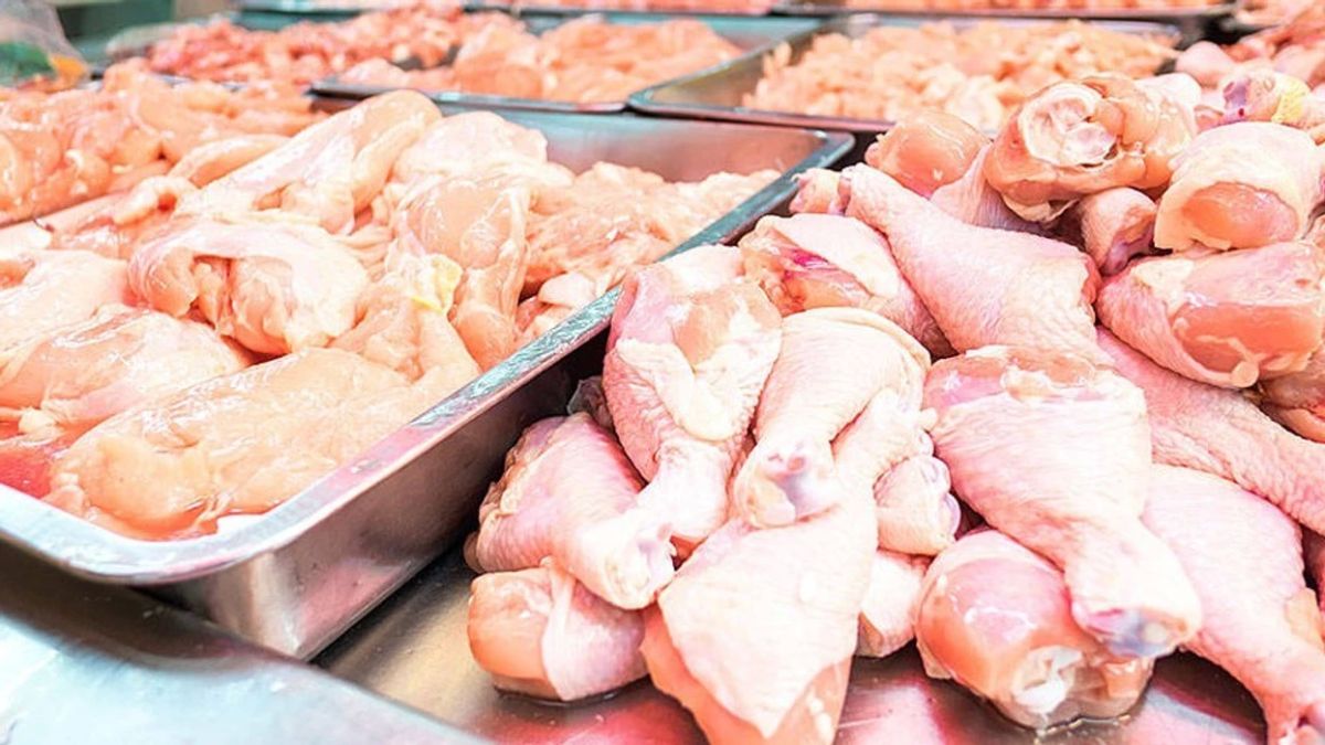 Brezilya Menşeli İki Markanın Tavuk Etinde Salmonella Tespit Edildi