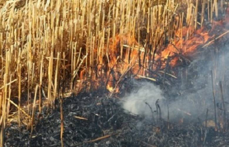 Tarım Bakanlığı’ndan Çifçilere:Hasattan Sonra Samanları Yakmayın