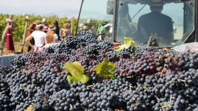Arnavutluk, Kosova Üzümüne Kapıları Kapadı