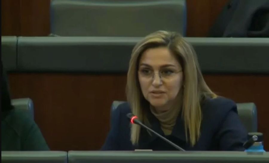 Shqipe Selimi’den de AAK’ya Yanıt