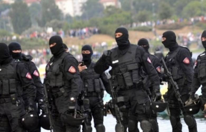 Sırbistan, Kosova Sırpları İçin Özel Timler Kuracak