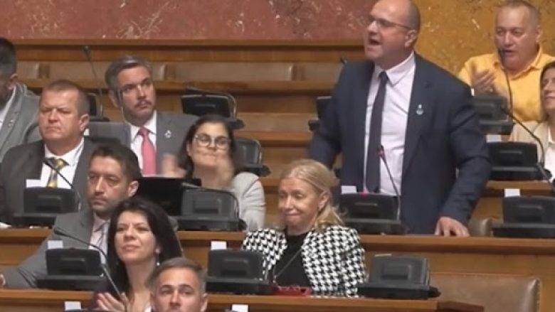 Veselinoviç ve Radoiçiç, Sırp Hükümeti Tarafından Desteklenen Suçlular ve Mafya