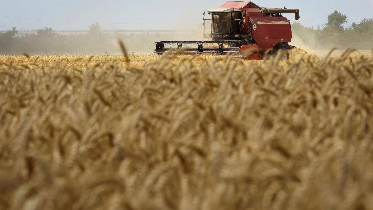 Ukrayna, tahıl sevkiyatına bu hafta başlamayı umuyor