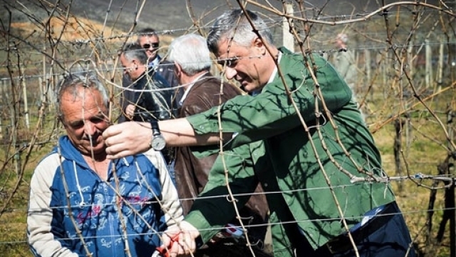 Thaçi'den Tarımcılığa 500 Milyon Avro